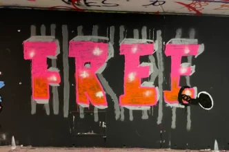 Beim Just Spray Graffiti Schnupperkurs in Stuttgart entstehen echte Graffitis – ohne Vorkenntnisse, mit Profi-Coaching an der Hall of Fame Bad Cannstatt.